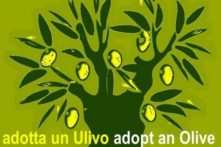 LOGO ADOTTA ULIVO2